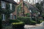 Cottages in School Lane