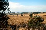 The hills south of Swinbrook